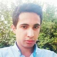 محمد محبی